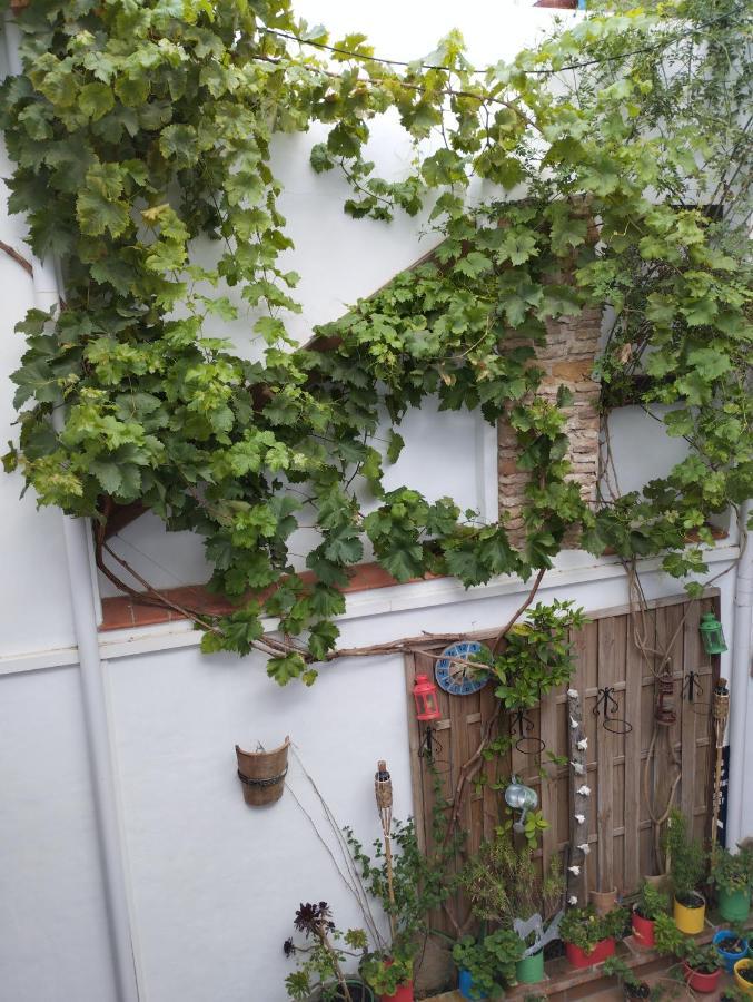 Apartamento Eg17 Arcos de la Frontera Dış mekan fotoğraf