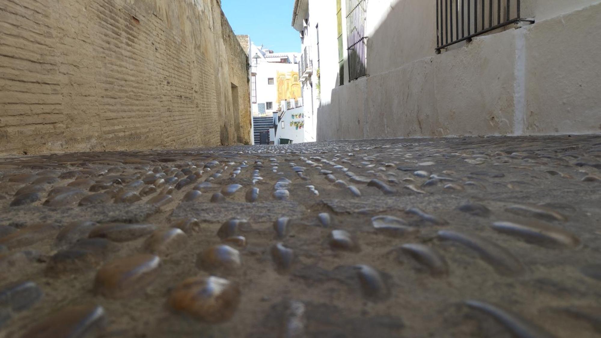 Apartamento Eg17 Arcos de la Frontera Dış mekan fotoğraf